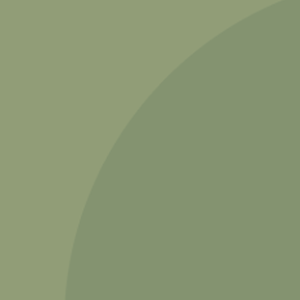 Ellipse-11