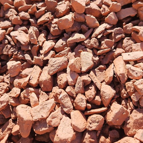 Rode Elbesplit - Zakjes (50 stuks)