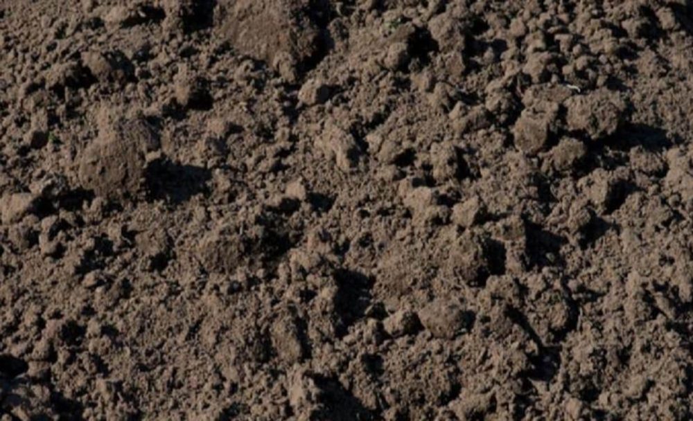 Gezeefde zwarte grond - Big Bag